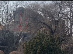 -秦皇岛野生动物园