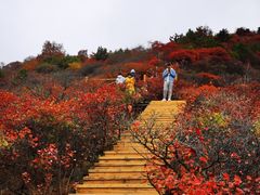-水峪民俗村