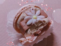 -好利来(清华南门店)