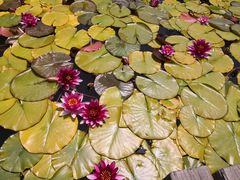 -陕西华浮宫酒店(未央湖公园店)