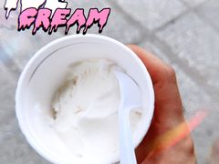 -洪馨椰子