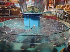 -魏铭鱼头捞饭(晋阳路店)