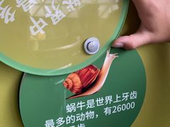 -陕西自然博物馆