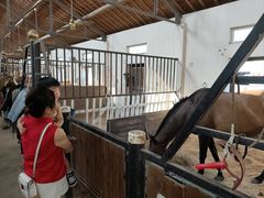 -平湖九龙山旅游度假区