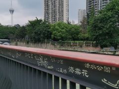 -成都市活水公园