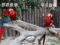 -上海野生动物园