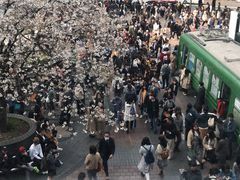 -涩谷全向十字路口