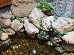 -清真·京华源铜锅涮肉(丰庆店)