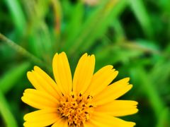 -南国桃园旅游度假区