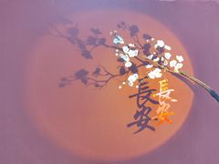 -陕西省美术博物馆