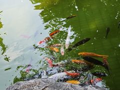 -吴作人艺术馆