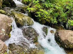 -东白山