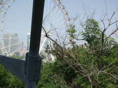 -富斯特索道