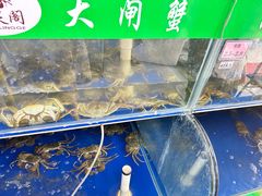 -阳澄湖大闸蟹·琼灵阁牌品牌连锁(吴中总店)