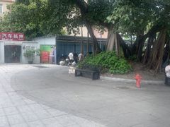 -长洲岛