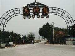 -开平碉楼文化旅游区马降龙景区