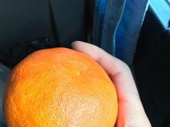 -龙头岩(Dragon Head Rock)