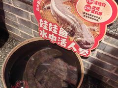 -印象鲵宴·张家界地标美食名片(溪布街店)