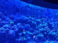 -太平洋海底世界