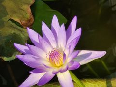 -国家植物园南园