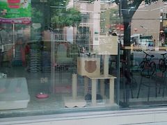 -汪小喵宠物·戴维斯乐芳希施宠馨宝皮毛调理洗护店