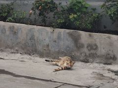 -三溪村