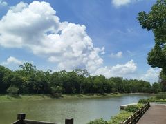 -上海海湾国家森林公园