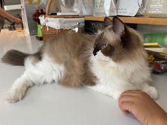-灯塔咖啡馆BOOK·Coffee Shop