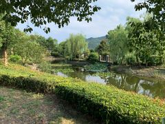-宁波九龙湖开元度假村
