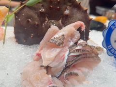 -东海怡品海鲜豆捞(舟宿夜江店)