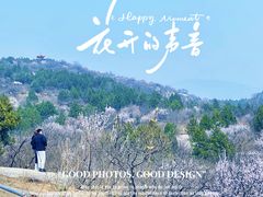 -白水寺森林公园