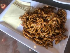 -大眼锅贴饺子(河西店)