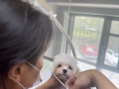 -久久宠物(河东万达店)