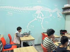 -斯坦星球AI编程·机器人科创·乐高科学·信奥·思维·专注力·STEM·竞赛考级(高新区绿宝广场龙湖狮山天街学习中心)