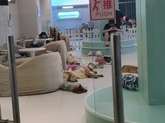 -怪兽屋·羊驼·猫咖·狗咖(俊华广场店)