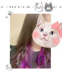 -Tipo Hair salon（明星）店