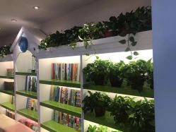 -番小茄小儿推拿(望京店)