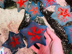 -沈阳海洋探索中心