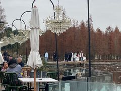 -白鹭湾湿地公园