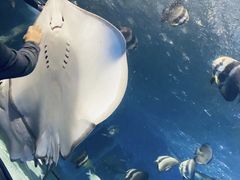 -太平洋海底世界