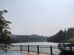-东莞植物园