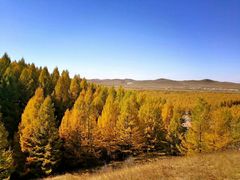 -塞罕坝国家级自然保护区