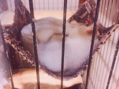 -津菜宋记老房子(鼓楼店)