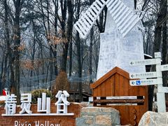 -沂蒙山旅游区云蒙景区(蒙山国家森林公园)