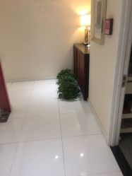 -咪咪比基尼脱毛专业店