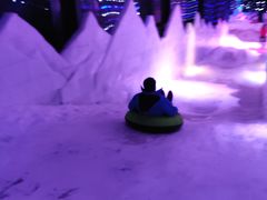 -梦幻奥陶纪景区