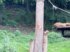 -宁波野生动物园