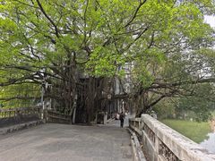 -小洲村