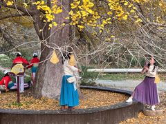 -千年银杏谷文化旅游区