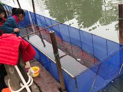 -白塘生态植物园